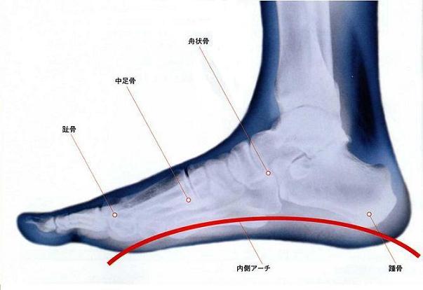 靴 足 内側 販売 移動